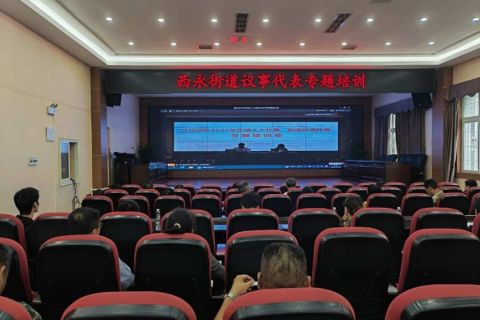 重庆市沙坪坝区举行人大代表议事代表专题培训 西永设立分会场